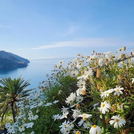 La Coccinelle - Superb Views Corniglia