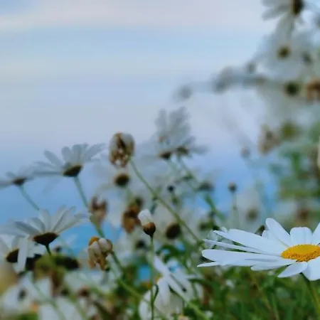 La Coccinelle - Superb Views Apartamento