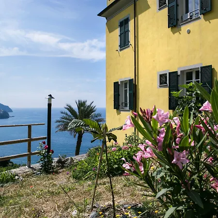La Coccinelle - Superb Views Corniglia