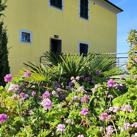 New Hanging Garden * Corniglia