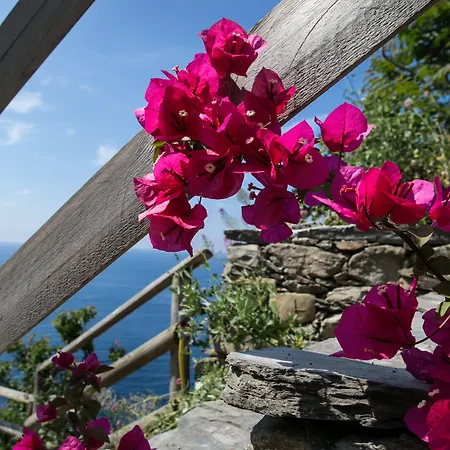 Daire La Coccinelle - Superb Views *