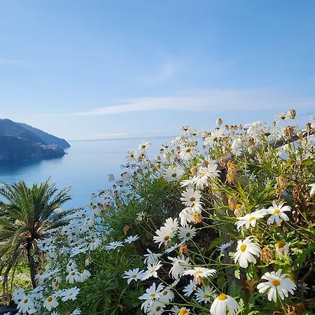 La Coccinelle - Superb Views